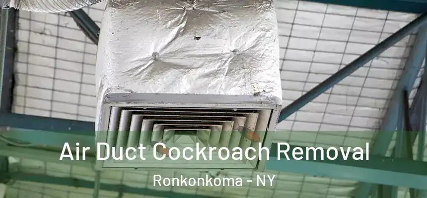  Air Duct Cockroach Removal Ronkonkoma - NY