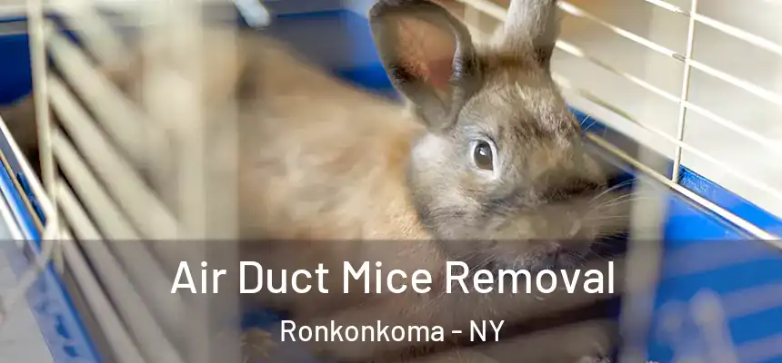  Air Duct Mice Removal Ronkonkoma - NY