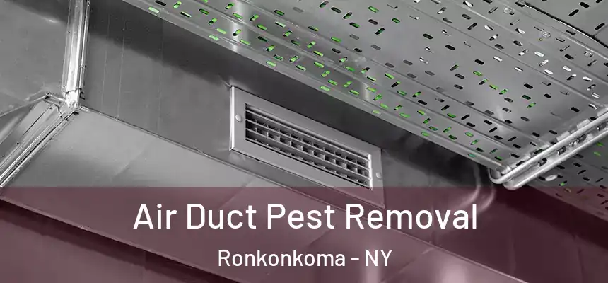 Air Duct Pest Removal Ronkonkoma - NY