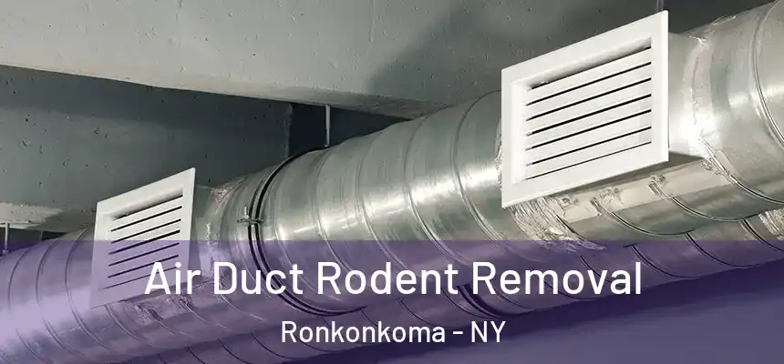 Air Duct Rodent Removal Ronkonkoma - NY