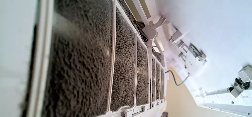 Preventive Air Duct Bacteria Removal in Ronkonkoma