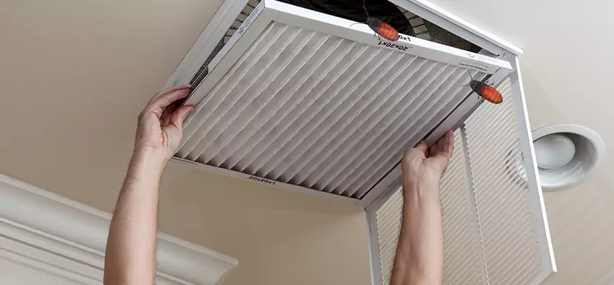 Preventive Cockroach-Proofing for Ducts in Ronkonkoma