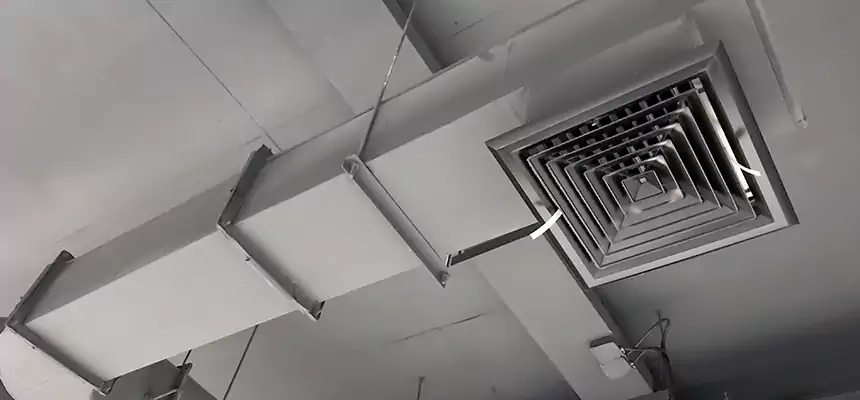 Our Pest Removal From Ducts Services in Ronkonkoma, NY