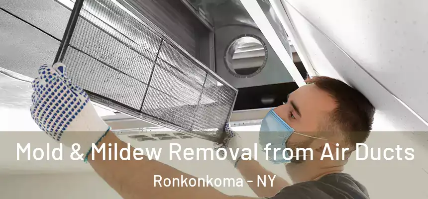 Mold & Mildew Removal from Air Ducts Ronkonkoma - NY
