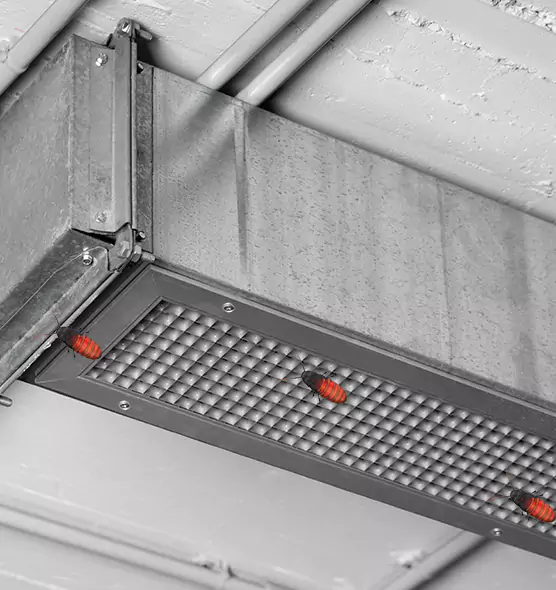About Air Duct Cockroach Removal in Ronkonkoma, NY