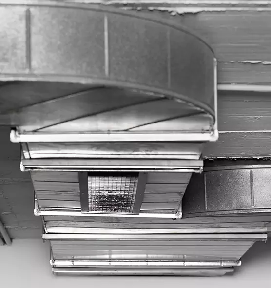 Professional Air Duct Pet Hair Removal in Ronkonkoma, NY