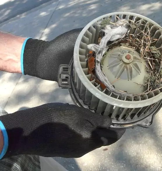 About Air Duct Rat Removal in Ronkonkoma, NY