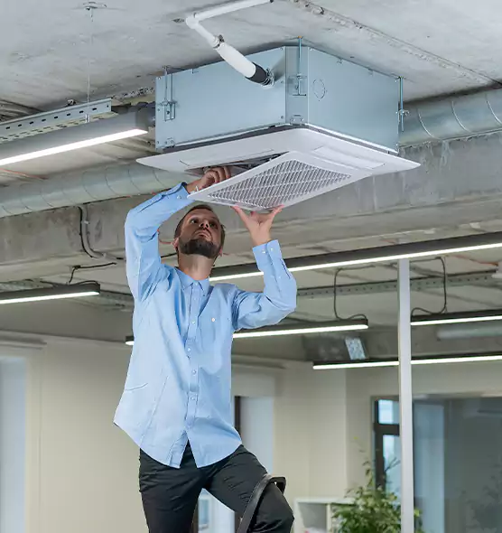 Advanced Rodent Droppings In Vents in Ronkonkoma, NY