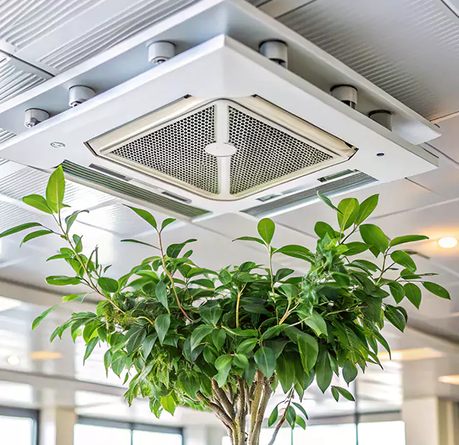 Why Homeowners & Businesses Trust Us in Ronkonkoma, NY?