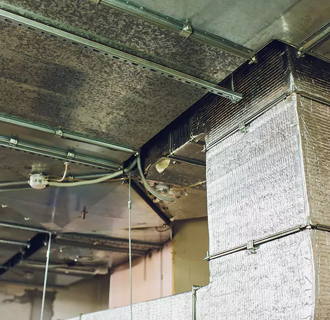 Why Homeowners & Businesses Trust Us in Ronkonkoma, NY?